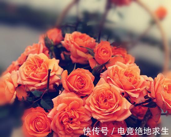 阳台系列之恩雅