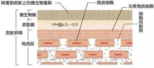角质真能搓下来？智商税别交！