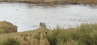 |搞笑GIF：防火防盗防闺蜜 这样的闺蜜不要也罢