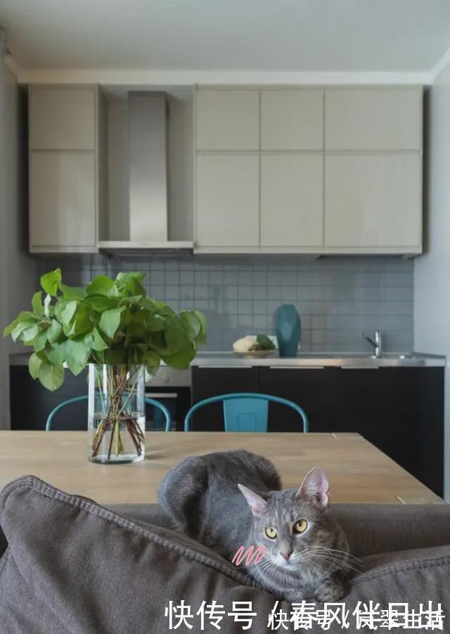 小姐姐|她一个人攒了10年工资,把48㎡装的漂漂亮亮,一室一厅,五脏俱全