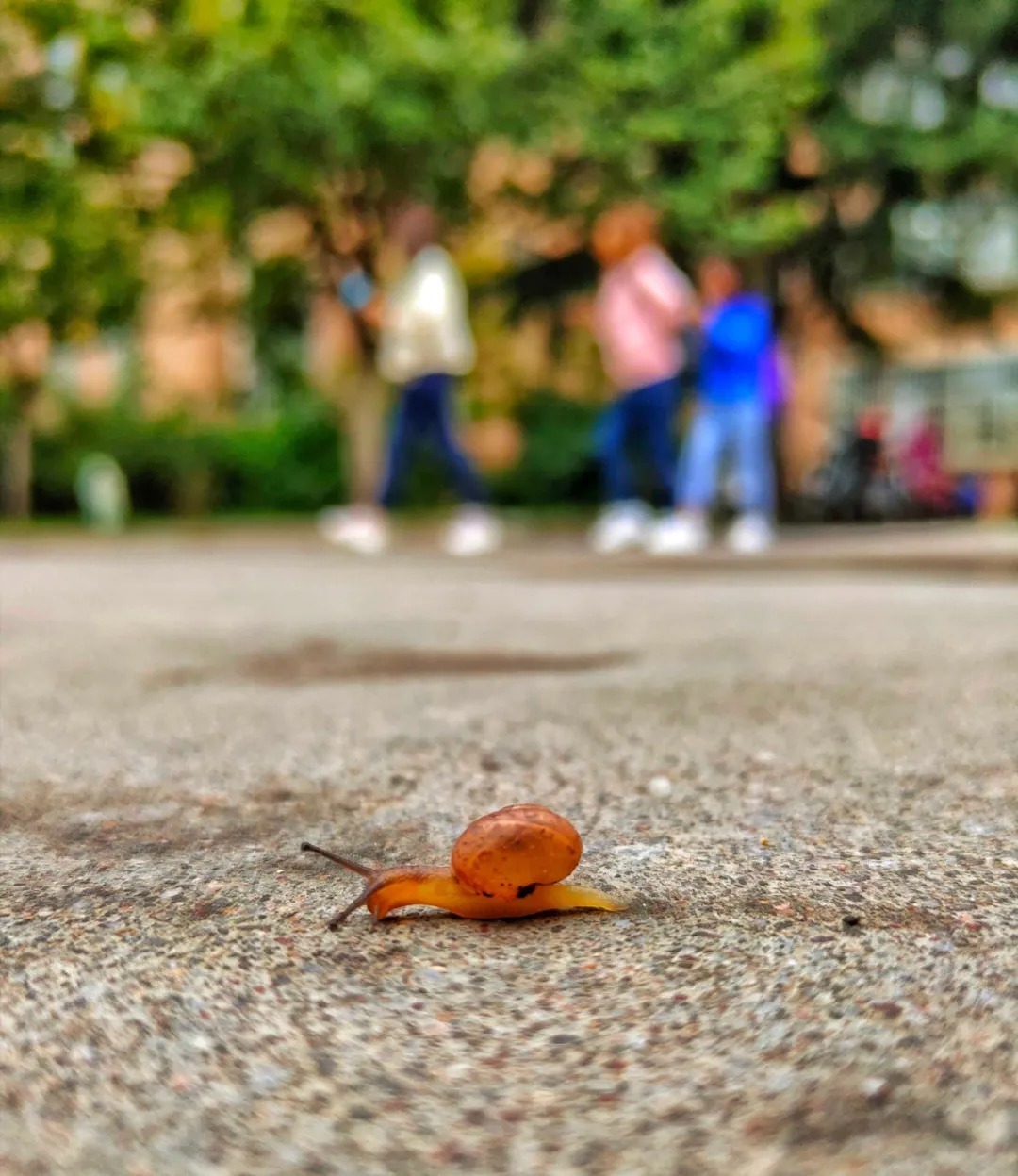  师院|木叶纷纷落 满身都是秋 | 让我们一起点亮师院的秋天吧