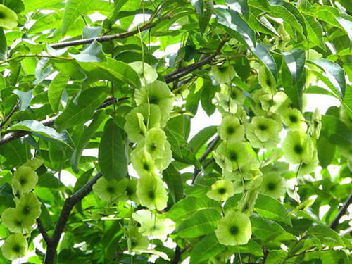 强身健体|有助降血糖的方法，别只是天天吃药，做到2个字，降血糖的效果好