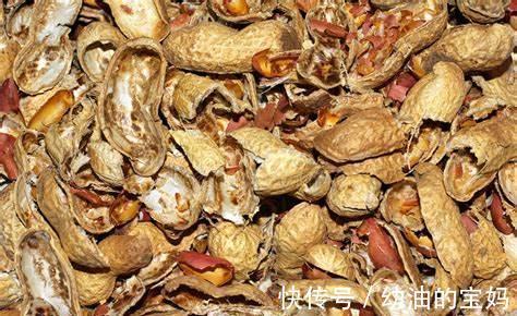 植物的枝叶富含营养,要经过处理埋入土壤中,有利于植物生长