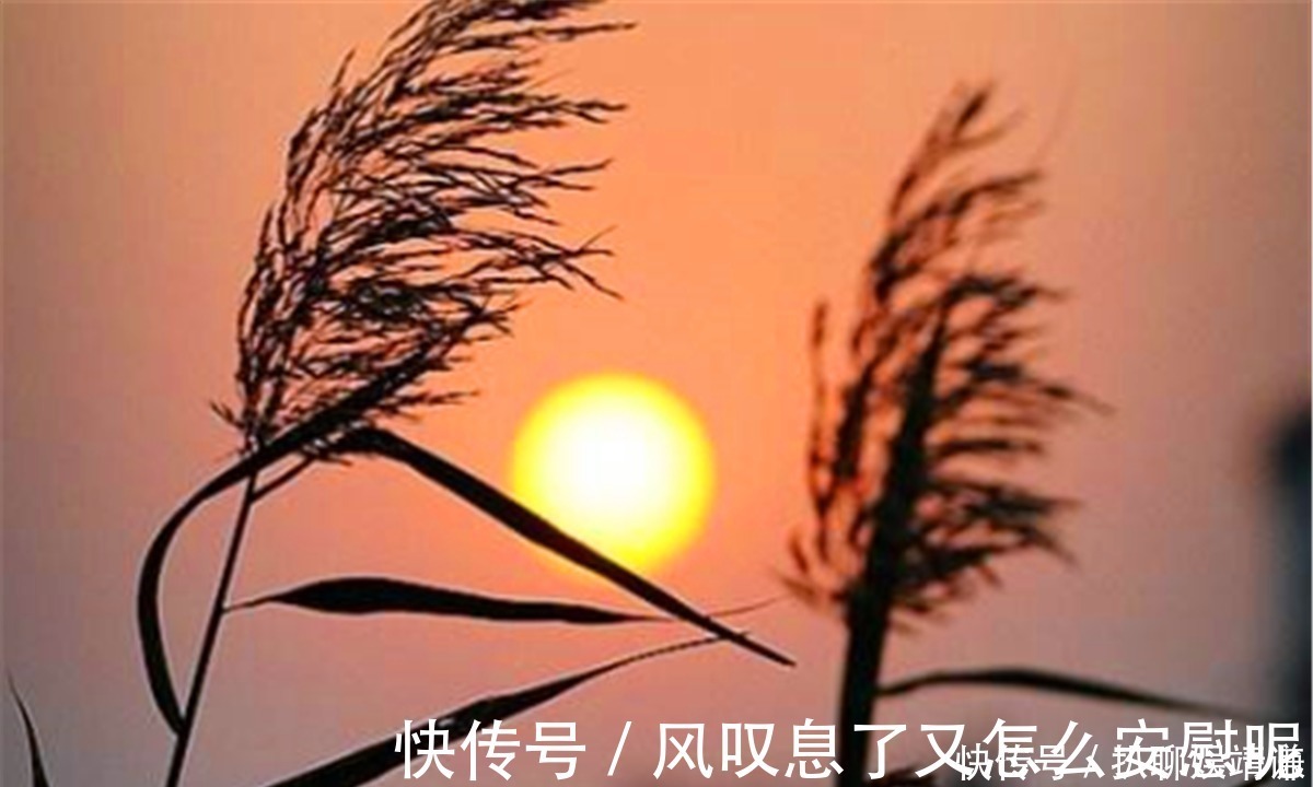 经商|俗语讲:“一代做官九代绝”,下半句更精华,生意人经商可以看看