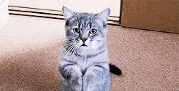 沐青瑶#三本男强女也强的古风小说推荐,势均力敌相爱相杀,终得一生相伴!