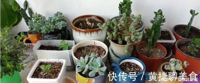 养花|养花最怕4种土,半年变空盆,要是用这些土种花,赶紧换