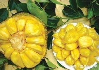 女性容易衰老,多吃此果,促进血液循环,皮肤