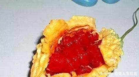 农村|农村娃绝对没吃过的8种纯天然美食!