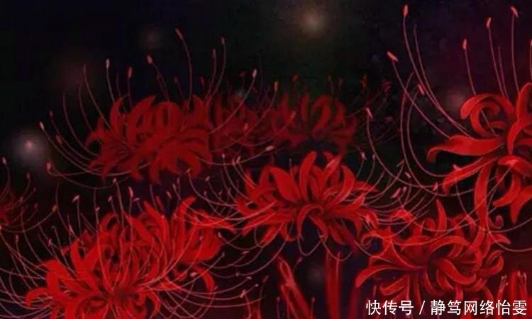 传说在冥界生长着四花 冥界四花都是哪些花 在现实中能找到吗 粉紫色