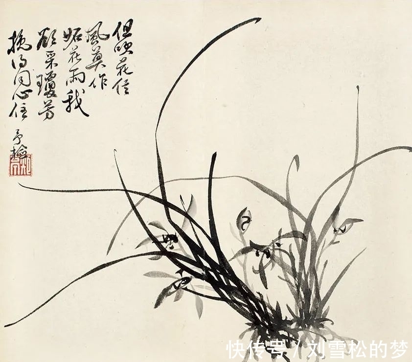 姿态|清代蒋予检笔下的兰花:纵横偃仰,别有姿态