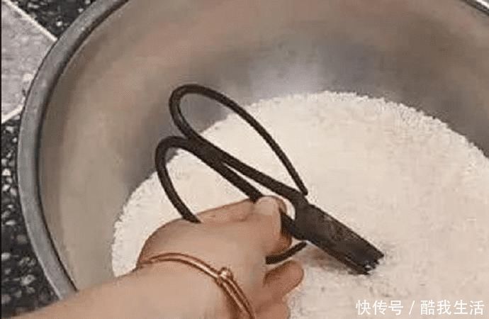 瓶瓶罐罐|抓紧把手机插进大米里，真是厉害了，现在清楚还不算晚，涨知识