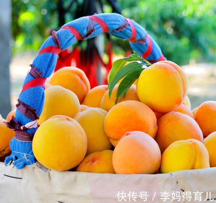 食物|想長壽先養生，秋天多吃3種食物，促進細胞新陳代謝，防止色斑