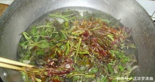 有四种蔬菜在做之前“一定要焯水”,西兰花上榜,但是它老被忽略!