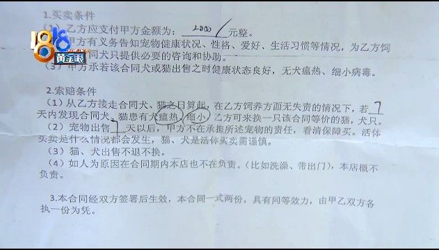 姑娘|“感冒”查出得犬瘟，姑娘在意“时间点”