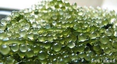 女性不想老太快,常吃此菜,雀斑沒了,大肚子平了,越來越年輕