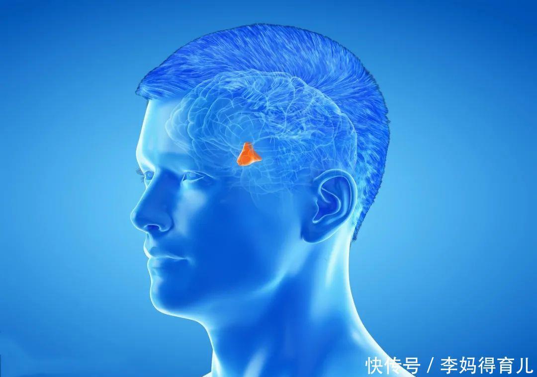 孩子|孩子每天最多可以吃几根冰淇淋?答案终于出来了,别超过这个数!