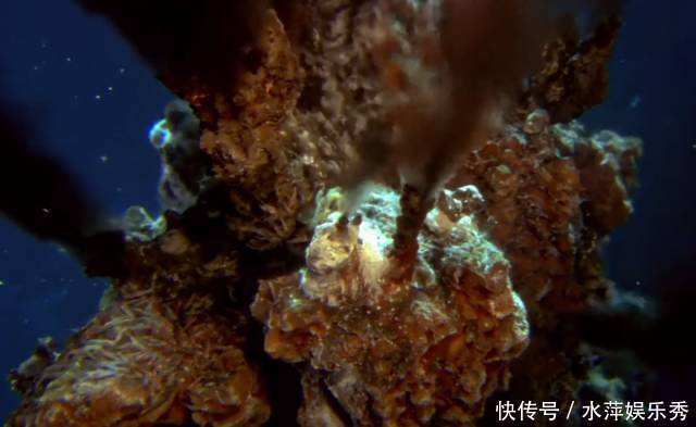 陆地和海洋是三七分,倘若将其比例互换,结果会如何?