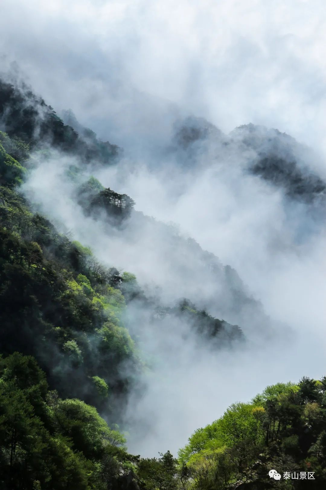 云海|云海浮波翻涌山水澹澹生烟