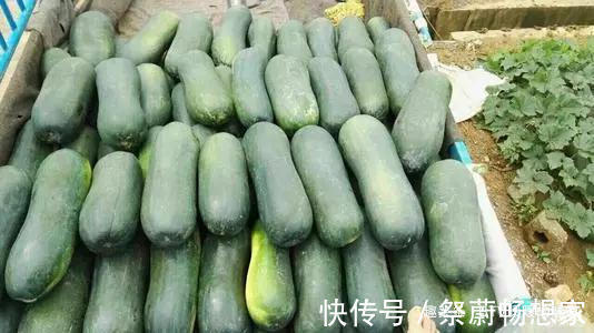 暖暖的味道|冬瓜别再红烧了，2个家常吃法才过瘾，一上桌就被抢完