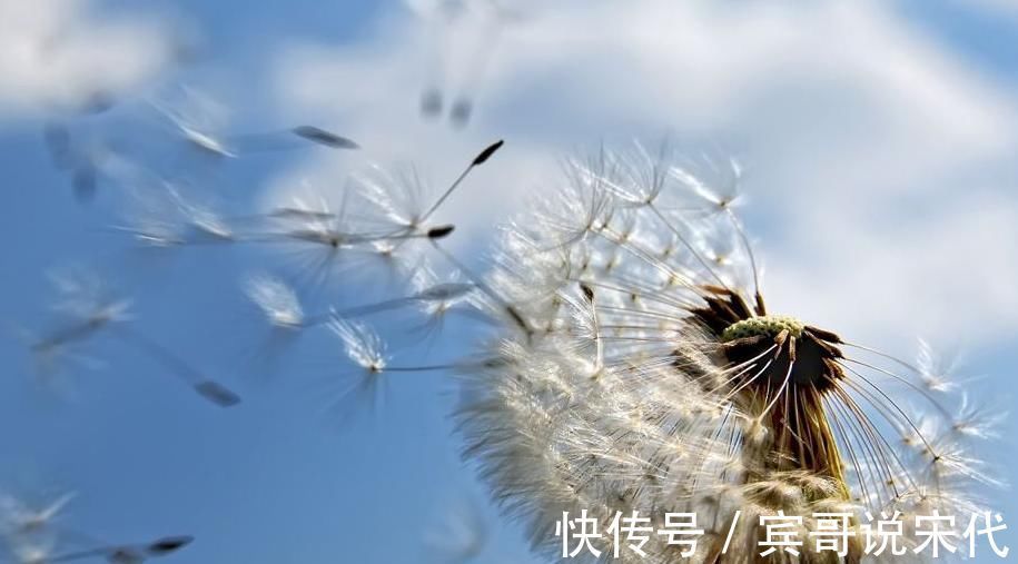 尿酸|痛风的“对手”终于找到了!原来,竟是这三样不起眼的野草