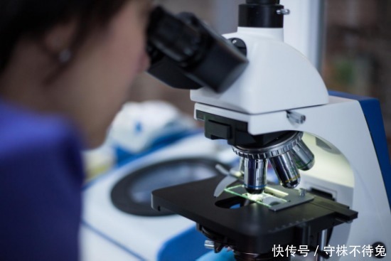 益生菌|防止过敏性鼻炎,提升免疫力是关键,利敏舒益生菌能做到