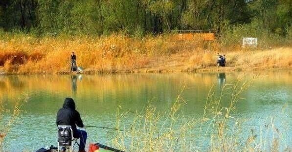 鱼儿|春钓时,每天这两个时间段钓鱼都是连竿,许多钓友竟然还在睡觉