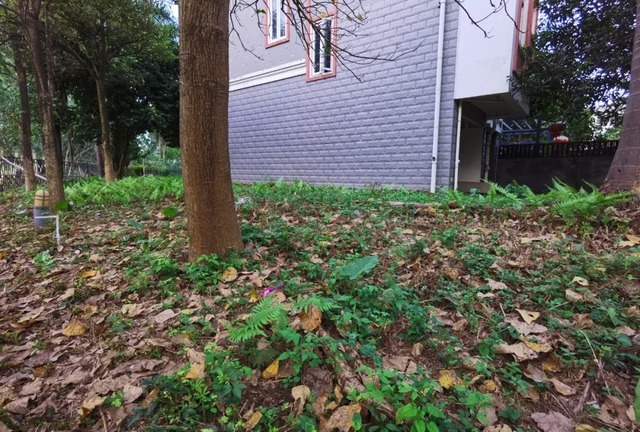 福州|曾经荒芜10几年，容积率还不到1，福州这个别墅现在怎么样