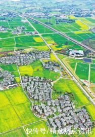 老年|四川崇州:油菜花陆续绽放