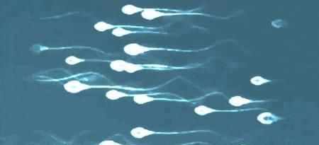 怀孕|为什么现在不孕不育的人那么多 多见这7个原因