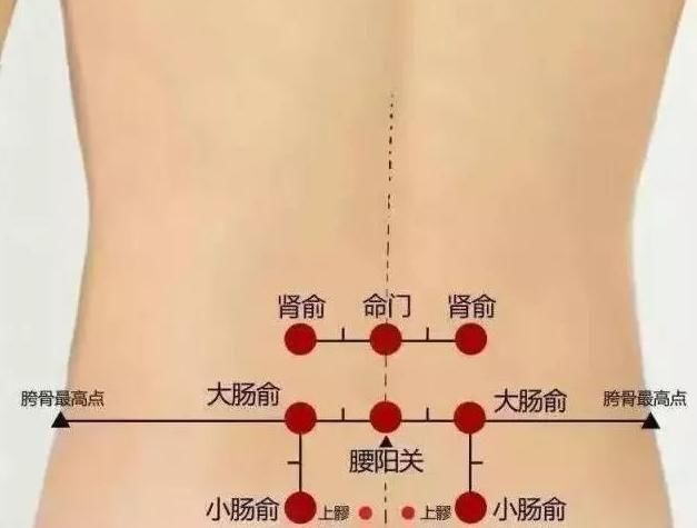  屁股|神奇的拍打屁股养生法！让你气血顺畅，光彩出众！女性尤其要看看