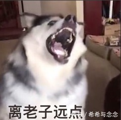 孕妇|明明有风险成分,还鼓吹着“孕妇专用”?有些洗面奶就该丢垃圾桶