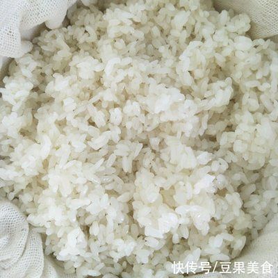 酸奶机|餐厅必点的米酒~醪糟~，在家也能做