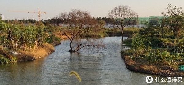 终点站|海上公园 篇八：闵行兰香湖徒步自由行（环湖游），新开发一个大型人工湖，儿童骑行好去处