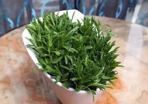 阳台种几盆养心菜，可食可赏，营养高，一年四季吃不断！