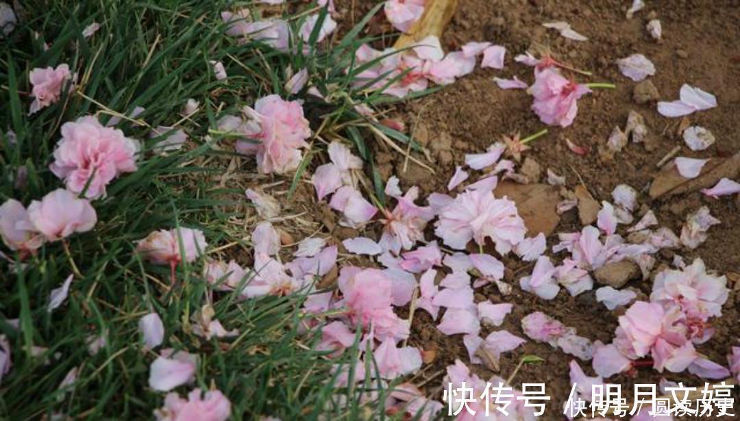 王氏@李商隐的诗常常引用典故,只有这首《落花》,全诗纯用白描的手法