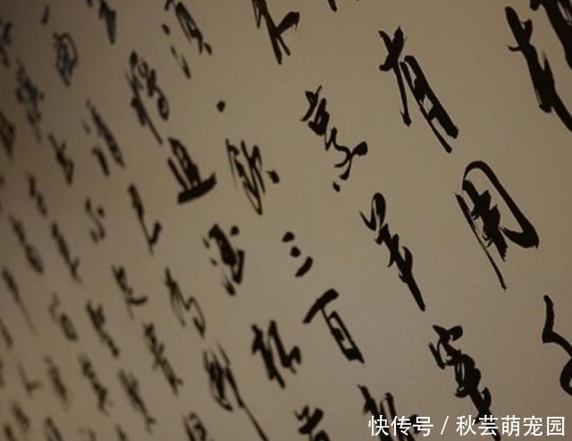 年的汉字,全国改学罗马拼音,带来什么后果