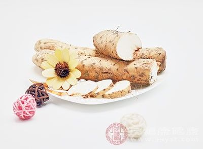  山药|山药的功效 经常吃这种食物能够补虚抗衰