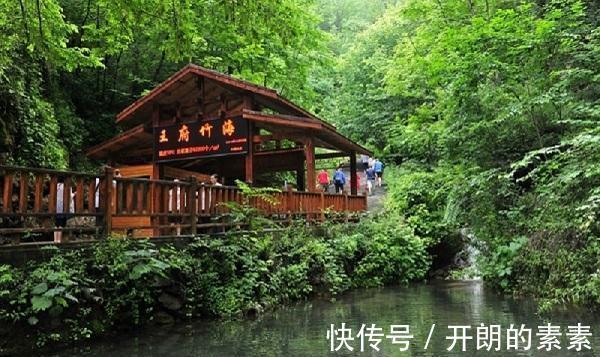 王府竹海景区|河南藏了处竹海仙境，夏季气温20多度，清凉舒爽，超适合避暑