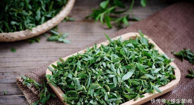 春天的农村里有这40种山珍野菜图片，让你轻松辨别山珍野菜