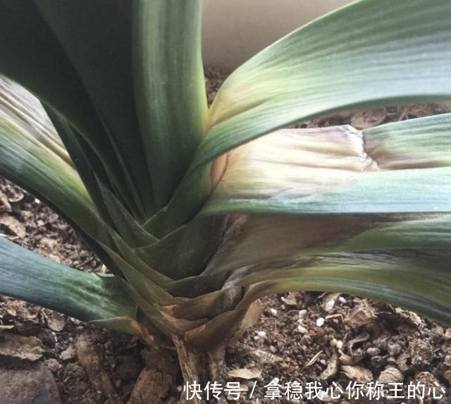 不想让家里人常生病,家里就不要堆积这3样东西,不少人都中招了!