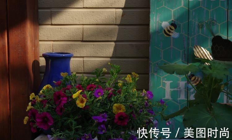 小院|荒废多年的80㎡小院,2年半时间打造成下沉式花园,太漂亮了!