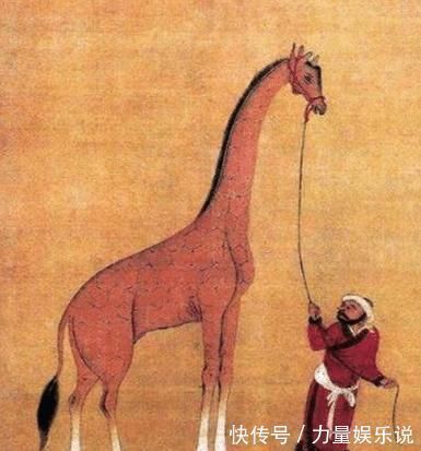 下西洋&郑和下西洋带回一只“麒麟”,画像在博物馆公开后,看过的人笑了