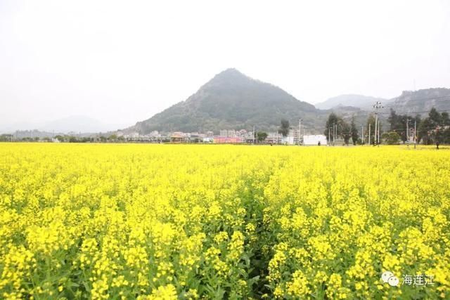 来连江，看这片“海”！「区县头条」