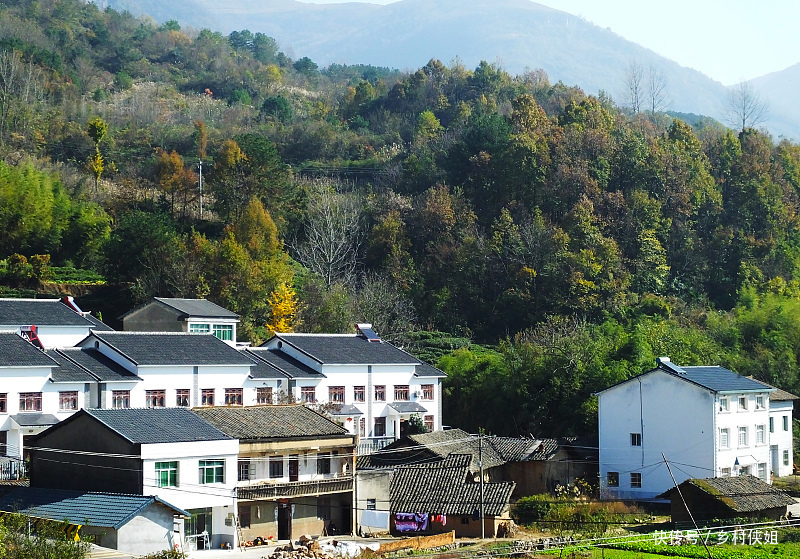商品房|农村宅基地严格执行一户一宅，在城里买房的，会收回农村宅基地吗