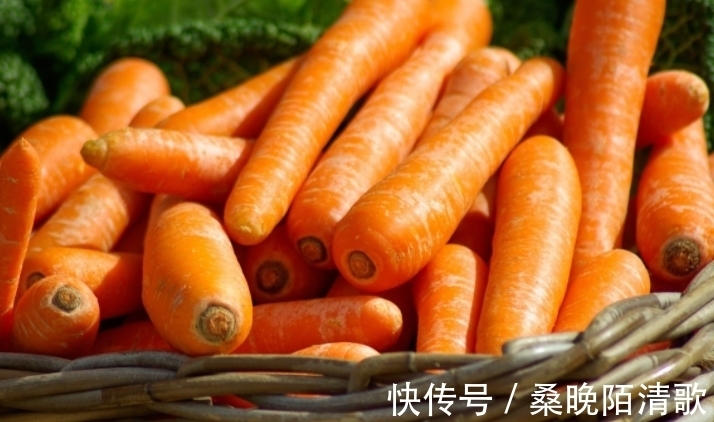 白菜|立冬哪些食物好？