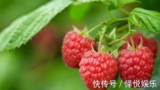 润肤|女性害怕老太快,常吃4种食物,排毒护肤,延缓衰老,清体内毒素