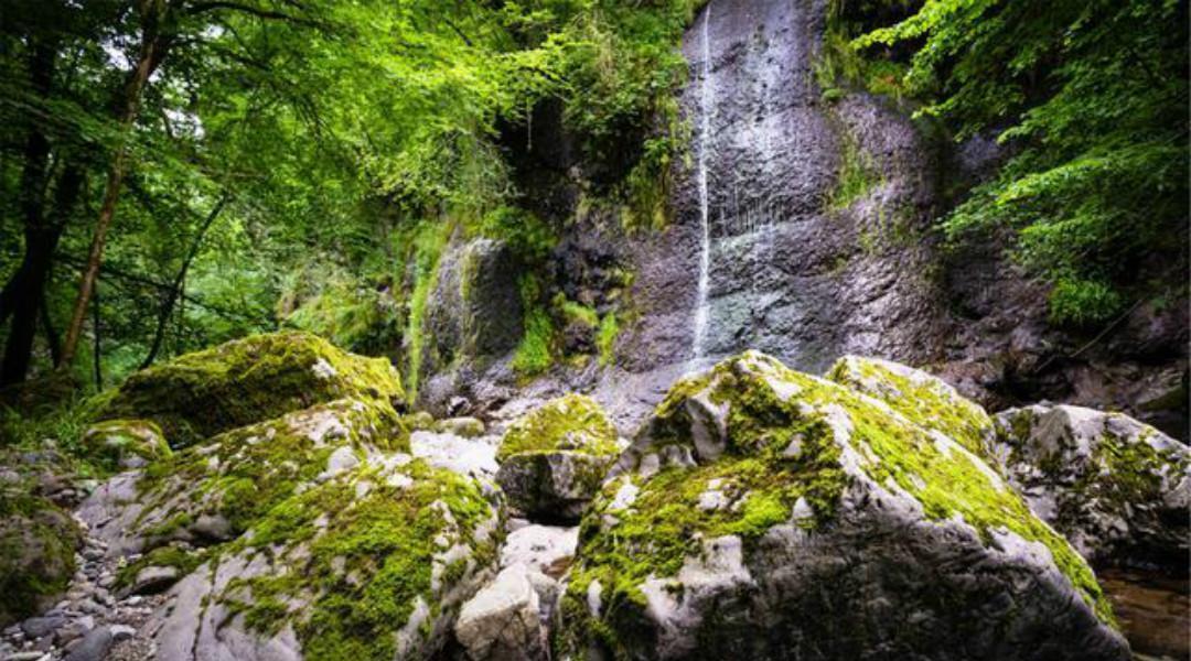 红叶|王维很唯美的一首小诗，通篇写出了新意，每一句都美得令人心醉