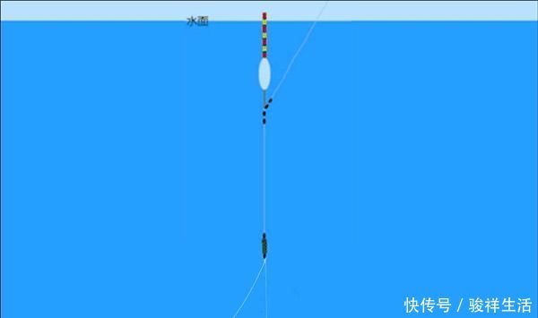 钓灵|鱼口轻,更要认真选浮漂,满足几个特点,能让浮漂动作更大!