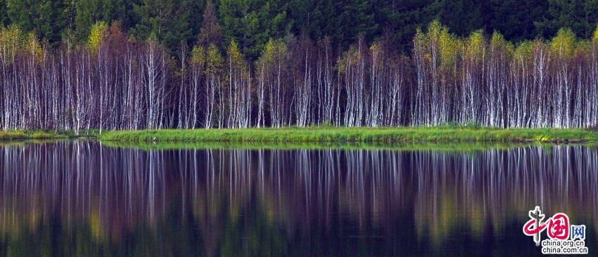  文化|＂文化和旅游部定点扶贫县主题宣传＂走进阿尔山
