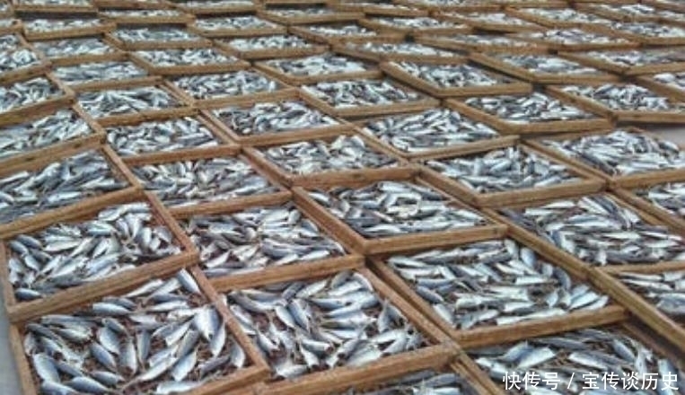 食用巴浪鱼|一次能捞几千斤,一年四季抓不完,儿时当下饭菜,4元一斤很便宜